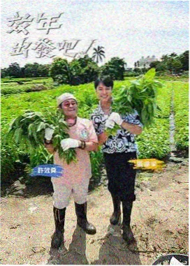 风车动漫 萌宠运动会 治愈综艺